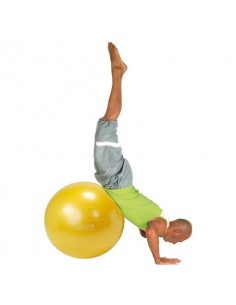 Gymnic Plus Lopta 95.42