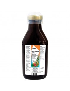 Dietpharm Floradix Kalcij Magnezij i Cink Mineralni tonik 2