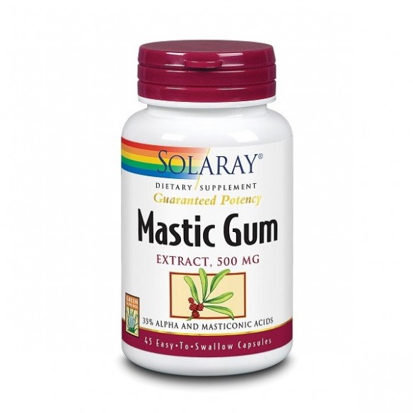 Solaray Mastic Gum Extract kapsule