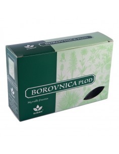 Suban Borovnica plod