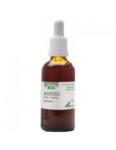 Soria Natural Zob XXI ekstrakt