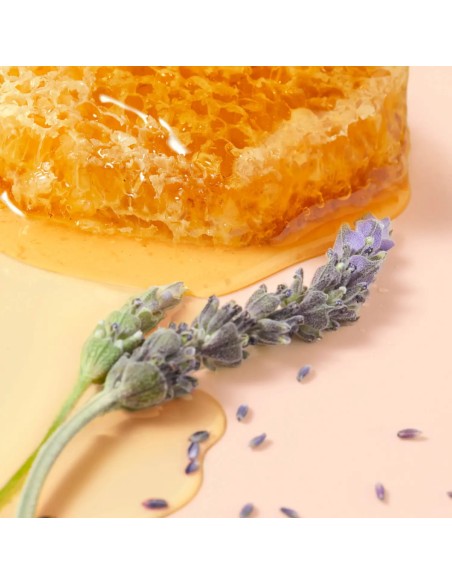 Nuxe Reve de Miel Medna njega usana s aplikatorom Nuxe Reve de Miel Medna njega usana s aplikatorom