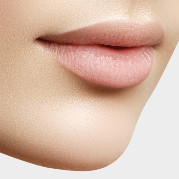 Fillerina 12HA Densifying-Filler za usne i usta Fillerina 12HA Densifying-Filler za usne i usta