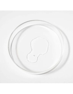 Scandinavian Biolabs Bio-Pilixin Serum za rast kose za žene 2