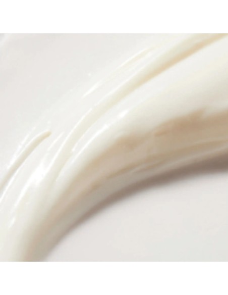 Nuxe Reve de Miel Cica Rich Hand Cream