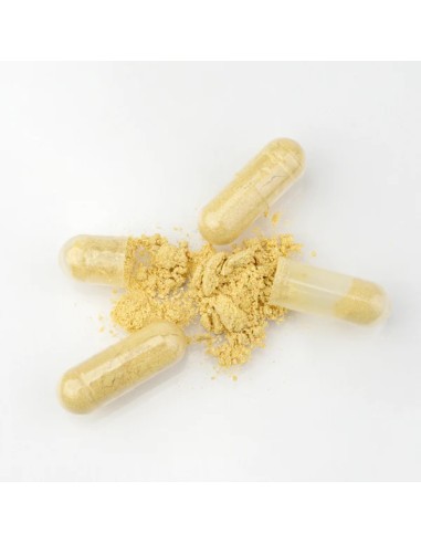 Novexpert Plumped skin kapsule