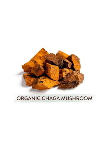 Mushroom Cups No Stress (Go Glow) organska instant kava s Chagom i Lisičarkama, dodatak prehrani