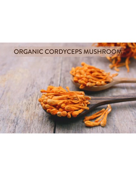 Mushroom Cups Go Tireless (Keep Moving) organska instant kava sa Cordycepsom i Lisičarkama