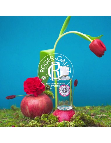 Roger & Gallet Gingembre Rouge Mirisna vodica Crveni đumbir Roger & Gallet Gingembre Rouge Mirisna vodica Crveni đumbir