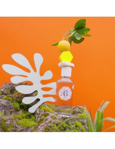 Roger & Gallet Bois D'Orange Mirisna vodica Drvo naranče Roger & Gallet Bois D'Orange Mirisna vodica Drvo naranče