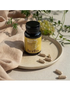 Herba Croatica Detoks MF Boost kapsule 2