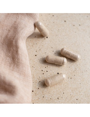 Herba Croatica Detoks MF Boost kapsule Herba Croatica Detoks MF Boost kapsule