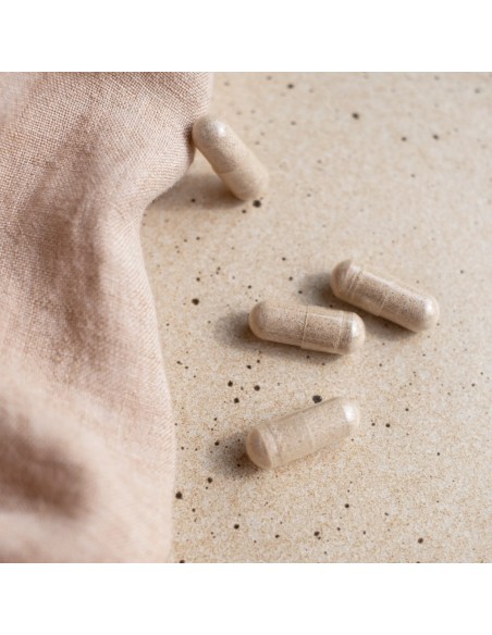 Herba Croatica Detoks MF Boost kapsule Herba Croatica Detoks MF Boost kapsule