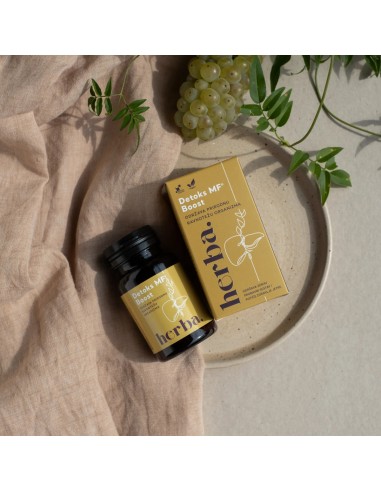 Herba Croatica Detoks MF Boost kapsule Herba Croatica Detoks MF Boost kapsule