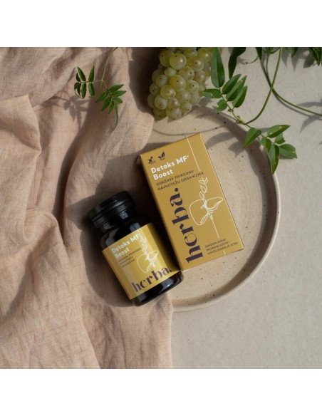 Herba Croatica Detoks MF Boost kapsule Herba Croatica Detoks MF Boost kapsule