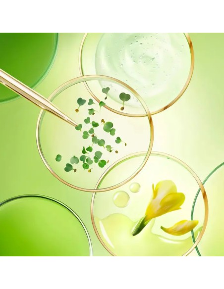 Nuxe Nuxuriance Ultra dnevna krema Nuxe Nuxuriance Ultra dnevna krema