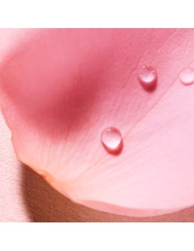 Nuxe Very Rose Toaletna vodica