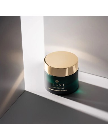 Plant Immortelle Golden hranjiva krema