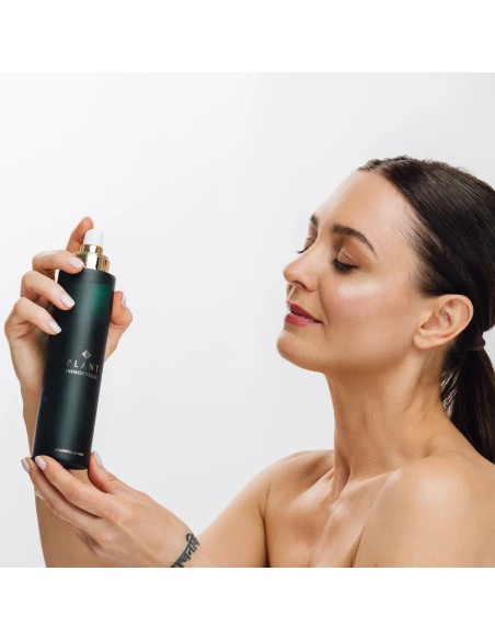 Plant Immortelle Mist Plant Immortelle Mist