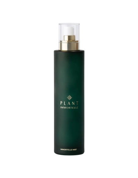 Plant Immortelle Mist Plant Immortelle Mist