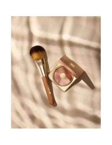 Bionike Defence Color Bronzing Kit...