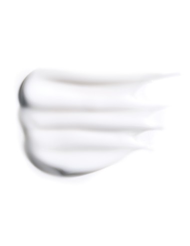 L'Oreal Paris Hyaluron Specialist dnevna hidratantna krema za vraćanje volumena 50 ml L'Oreal Paris Hyaluron Specialist dnevna hidratantna krema za vraćanje volumena 50 ml