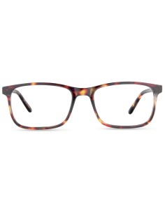 Nordic Vision Dal Basic Line Naočale za čitanje 2