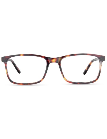 Nordic Vision Dal Basic Line Naočale za čitanje