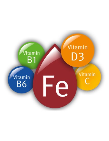 Dr. Theiss Iron Energy kids tekući dodatak prehrani sa sladilom
