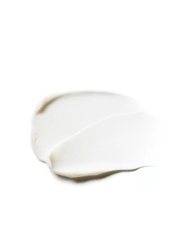 Eucerin Hyaluron-Filler + Elasticity noćna njega Refill 99544 Eucerin Hyaluron-Filler + Elasticity noćna njega Refill 99544