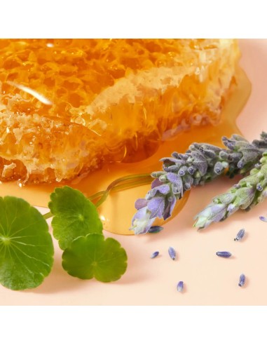 Nuxe Reve de Miel Cica Rich Hand Cream