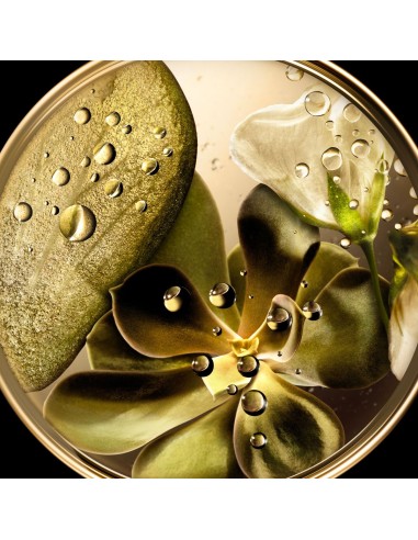 Lierac Premium serum