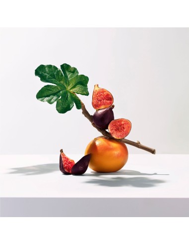 Roger & Gallet Set 2025 Duo Cvijet smokve mirisna vodica + krema za ruke Promo pakiranje