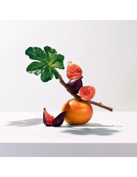 Roger & Gallet Set 2025 Duo Cvijet smokve mirisna vodica + krema za ruke Promo pakiranje