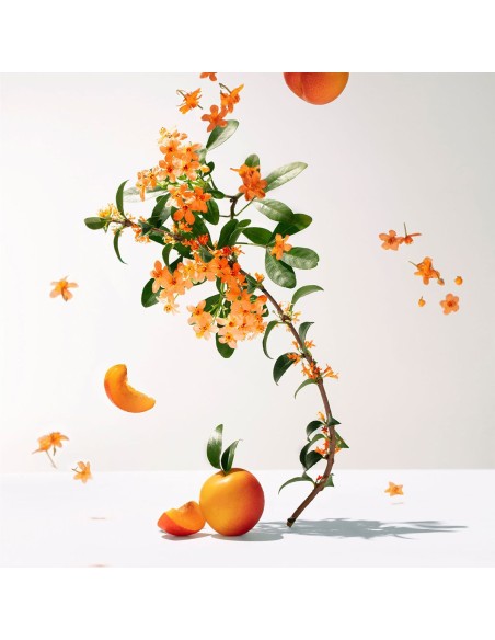 Roger & Gallet Božični Set 2025 mirisna vodica + krema za ruke Osmanthus Promo pakiranje