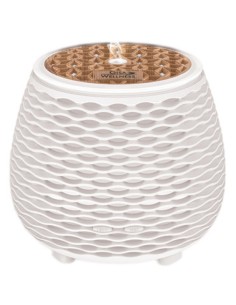 Gisa Difuzer Wavy + Pranarom eterično ulje naranča i đumbir Promo pakiranje 2