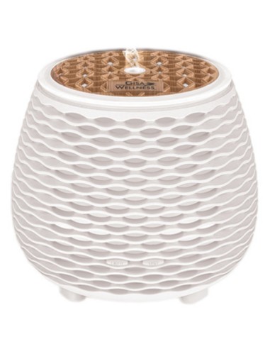 Gisa Difuzer Wavy + Pranarom eterično ulje naranča i đumbir Promo pakiranje