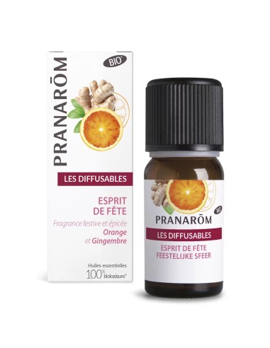 Pranarom Organic Holiday Spirit mješavina za difuzer BIO