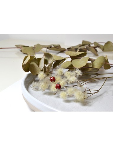 Farma Bijoux Dječje Hipoalergene naušnice Farma Bijoux  A555