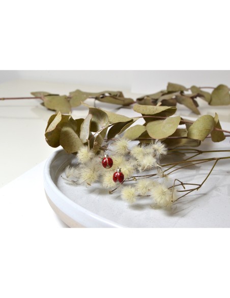 Farma Bijoux Dječje Hipoalergene naušnice Farma Bijoux  A555