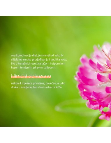 Nuggela & Sule Anti-Hair Loss Serum Forte