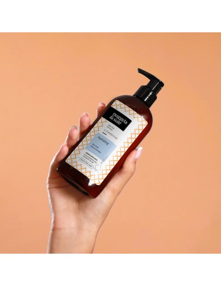 Nuggela & Sule Regenerator