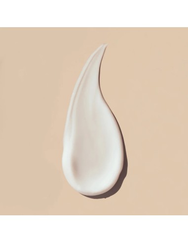 Nuggela & Sule Regenerator