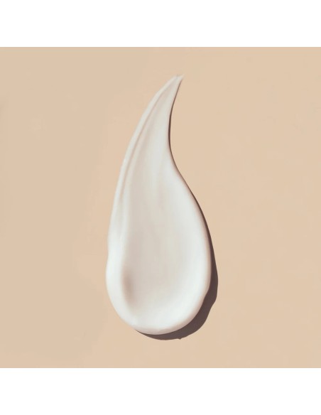 Nuggela & Sule Regenerator