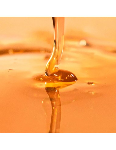 Nuggela & Sule No1 Premium šampon