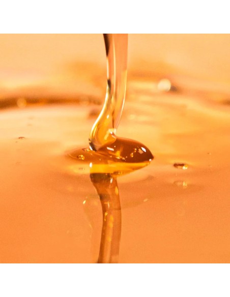 Nuggela & Sule No1 Premium šampon