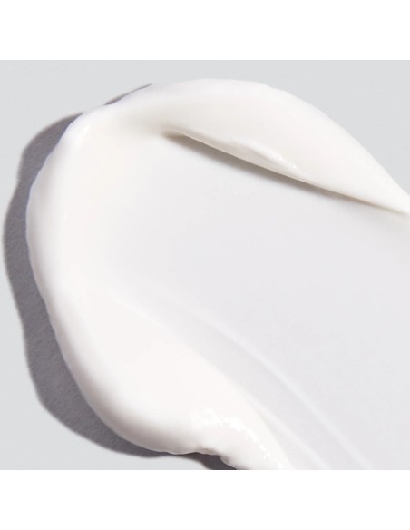 Dermalogica Prisma protect SPF 30