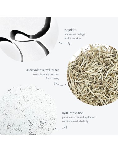 Dermalogica Dynamic Skin Recovery SPF 50