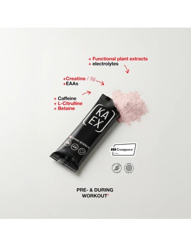 KA-EX PWD Creatine EAA+ Booster, dodatak prehrani