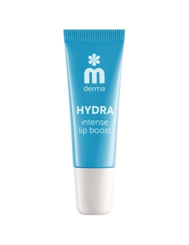 Melem Derma Lip Care Hydra balzam za usne